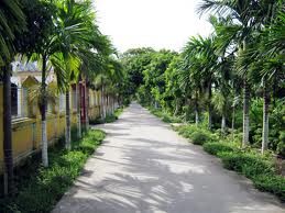 Pedesaan baru merupakan tenaga pendorong untuk membantu semua daerah pedesaan berkembang